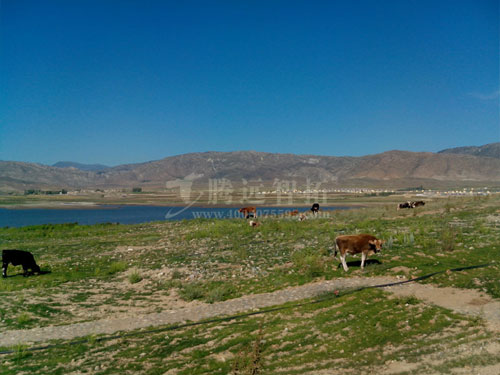 新疆也拉曼水库无线传输工程