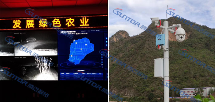  通宝TB222现场图