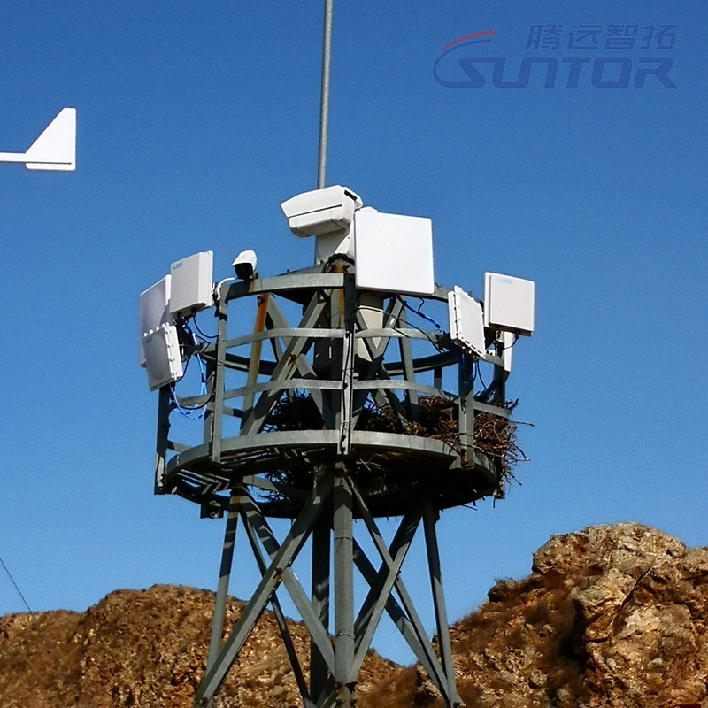 基站上的无线网桥