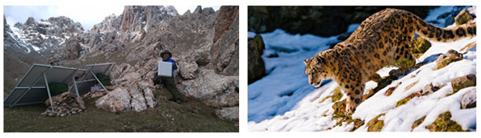 生物多样性监控